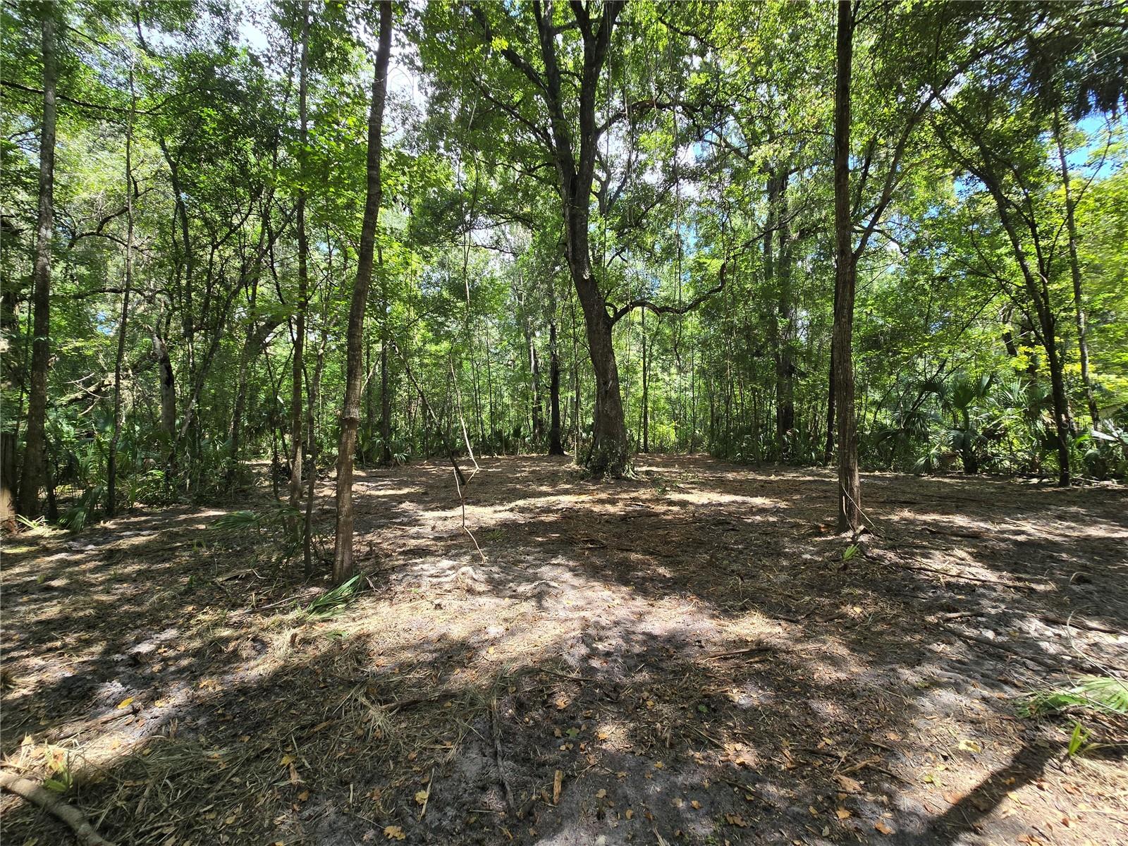 Image 44 of 46 For 2452 Junglecamp Road