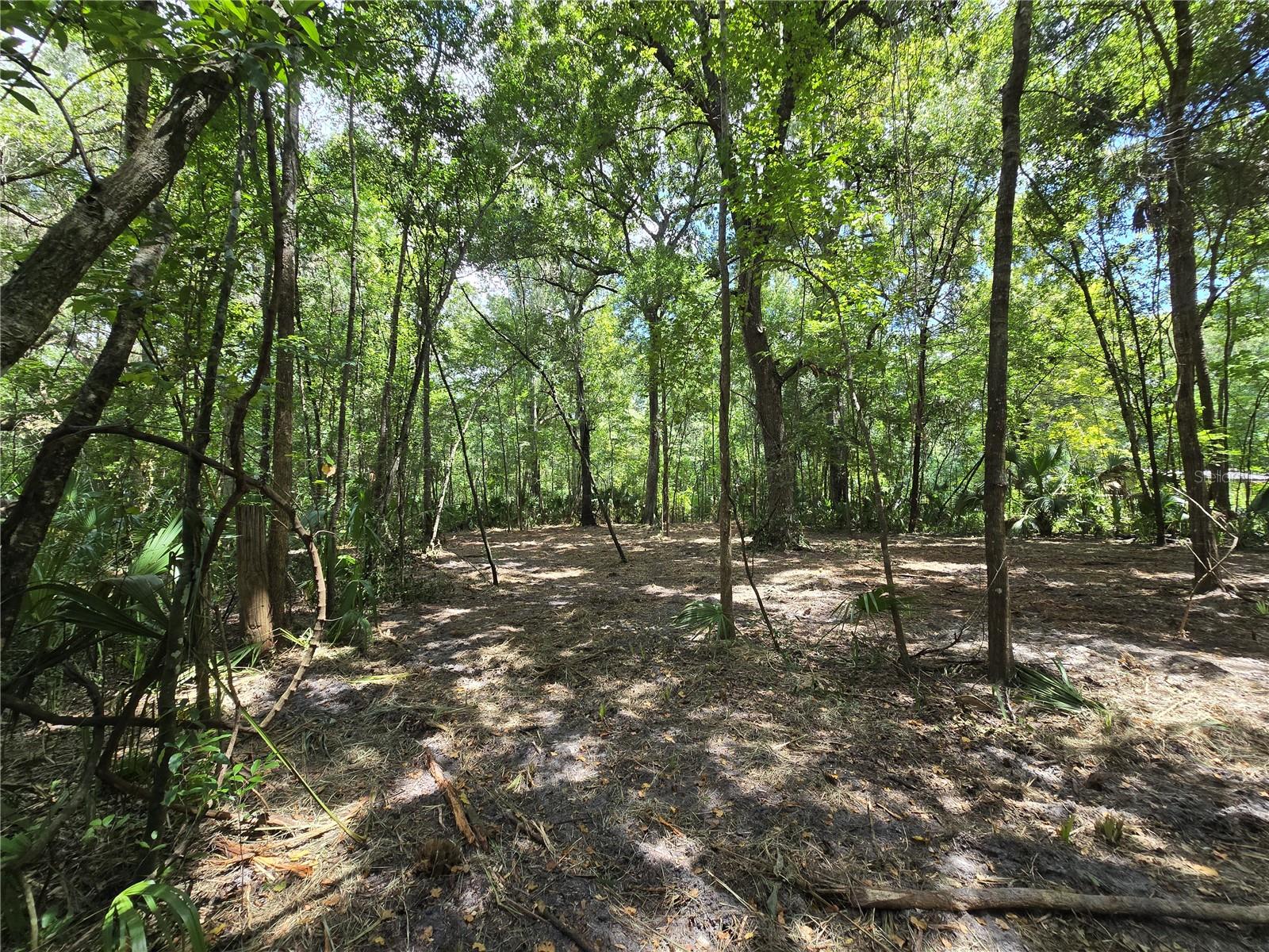 Image 45 of 46 For 2452 Junglecamp Road