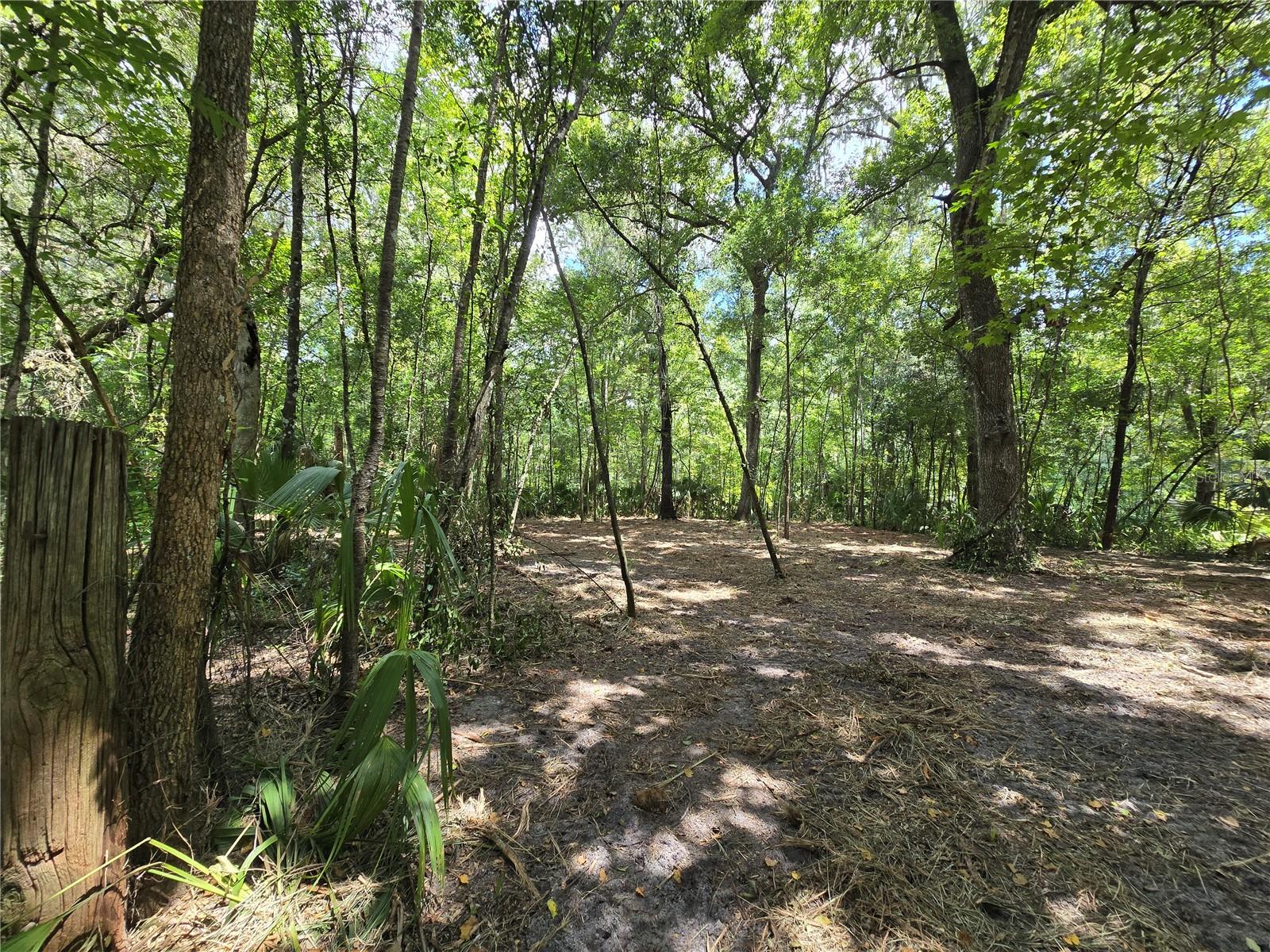 Image 46 of 46 For 2452 Junglecamp Road