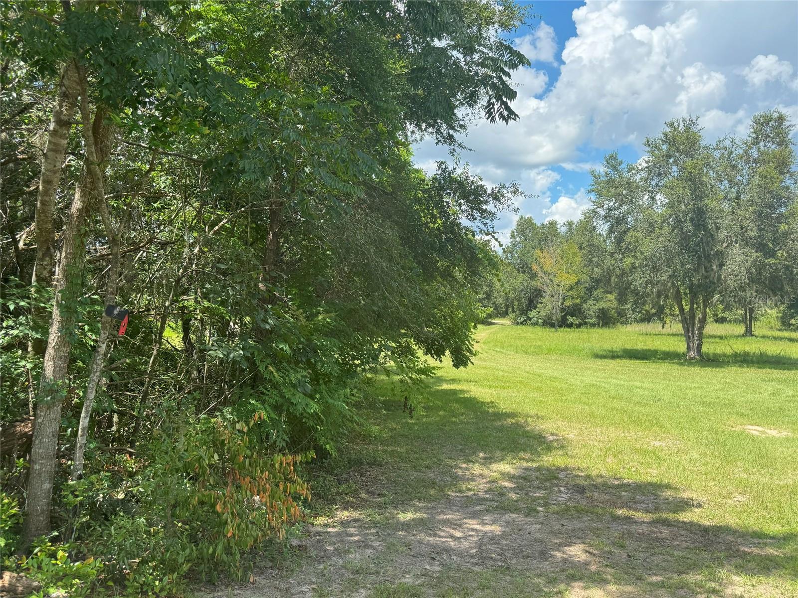 Image 21 of 24 For 135 Lecanto Highway