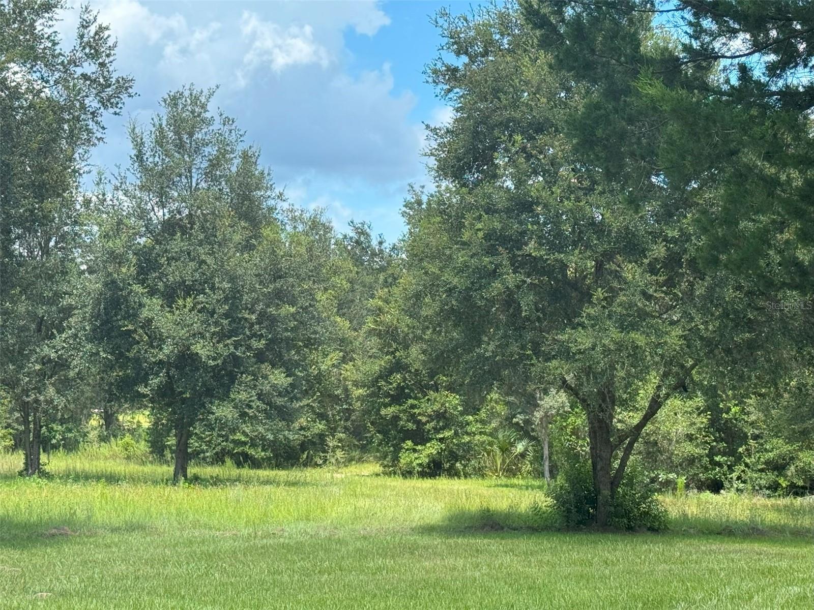 Image 23 of 24 For 135 Lecanto Highway