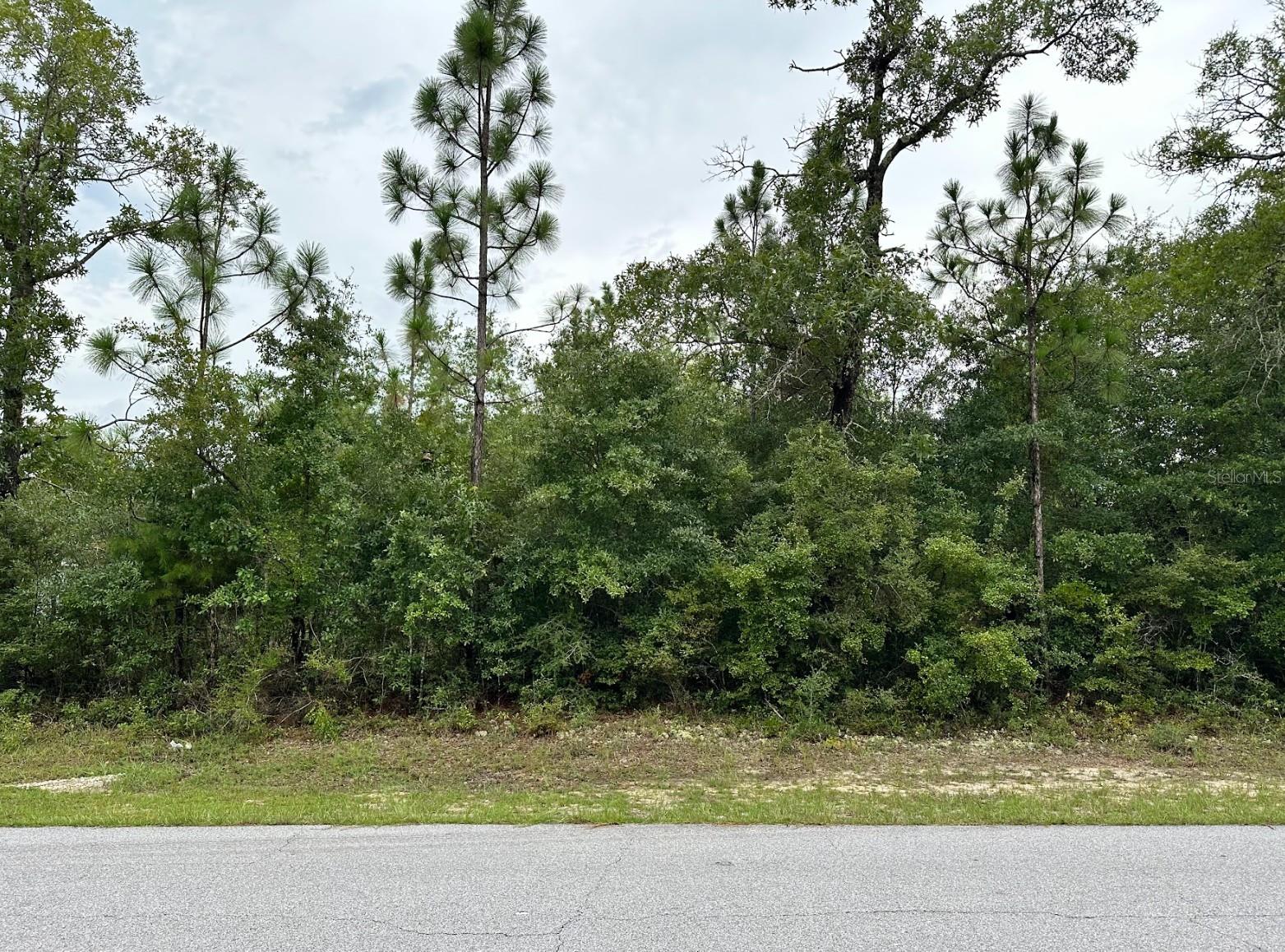 Details for Westbrook Drive, CHIPLEY, FL 32428