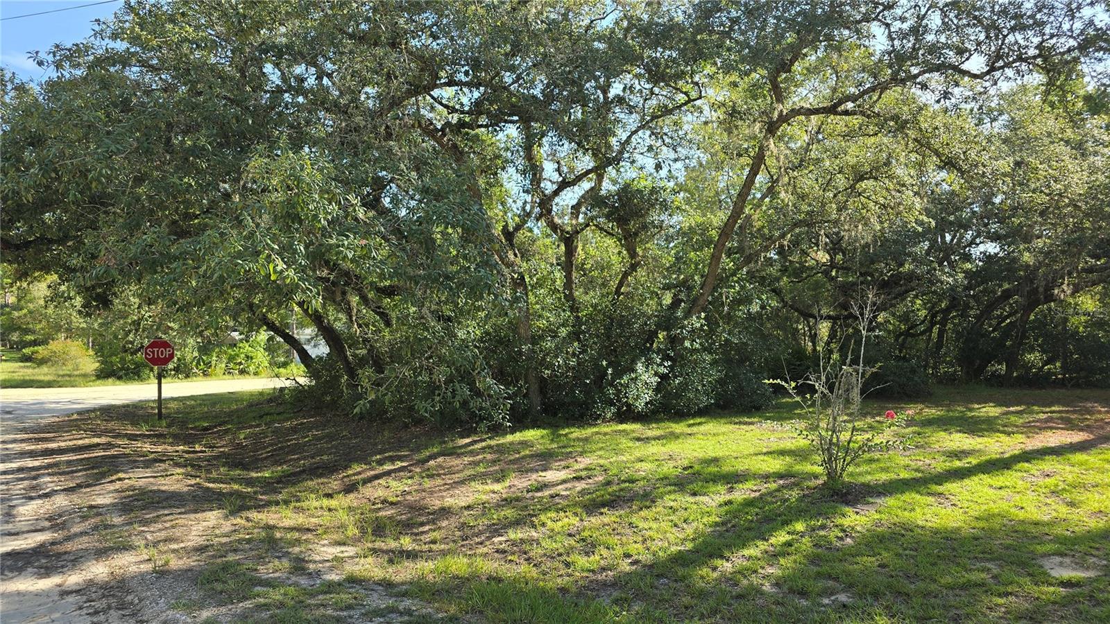 Image 4 of 38 For 5778 Tirana Lane