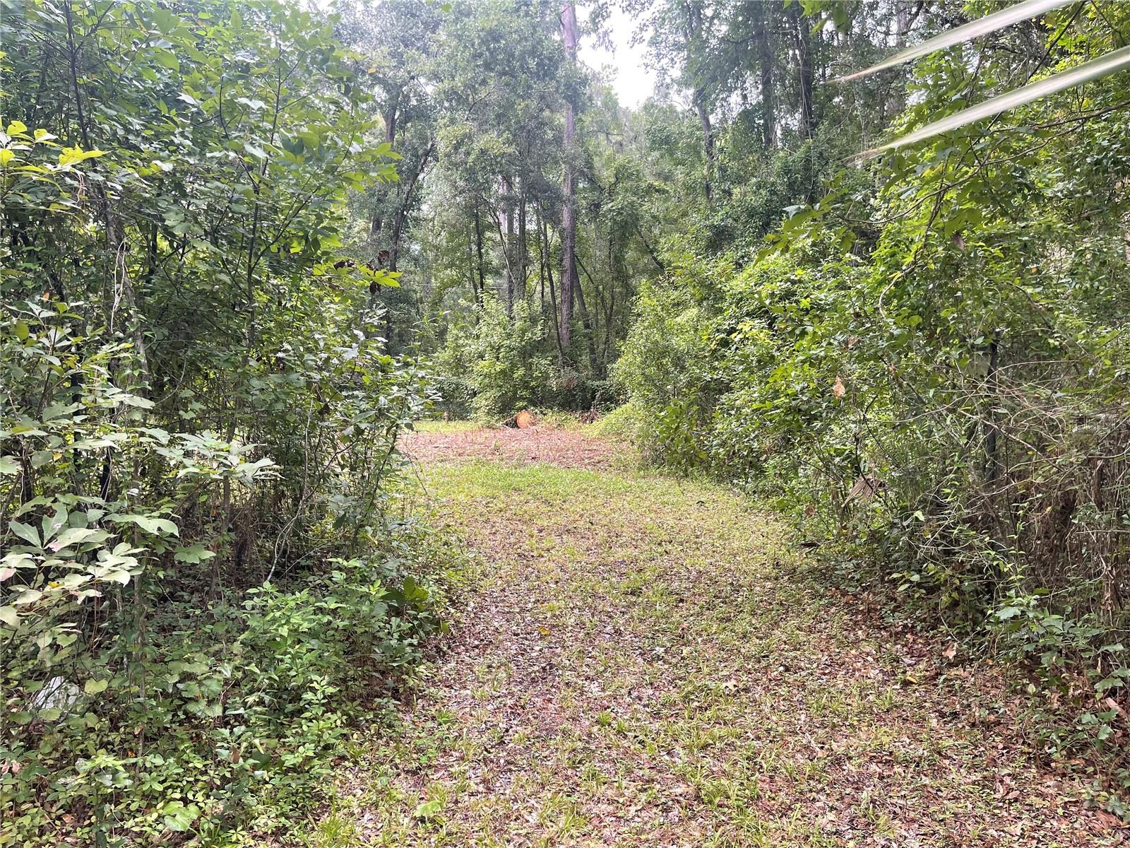 Image 42 of 43 For Address Not Provided
