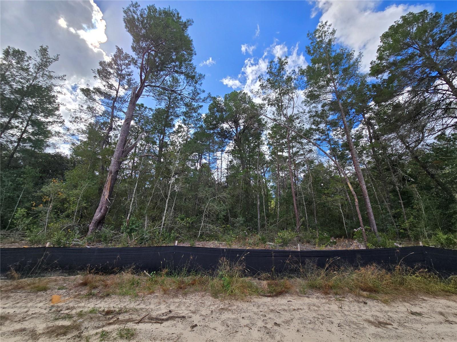 Image 35 of 38 For 2613 Clearwood Street