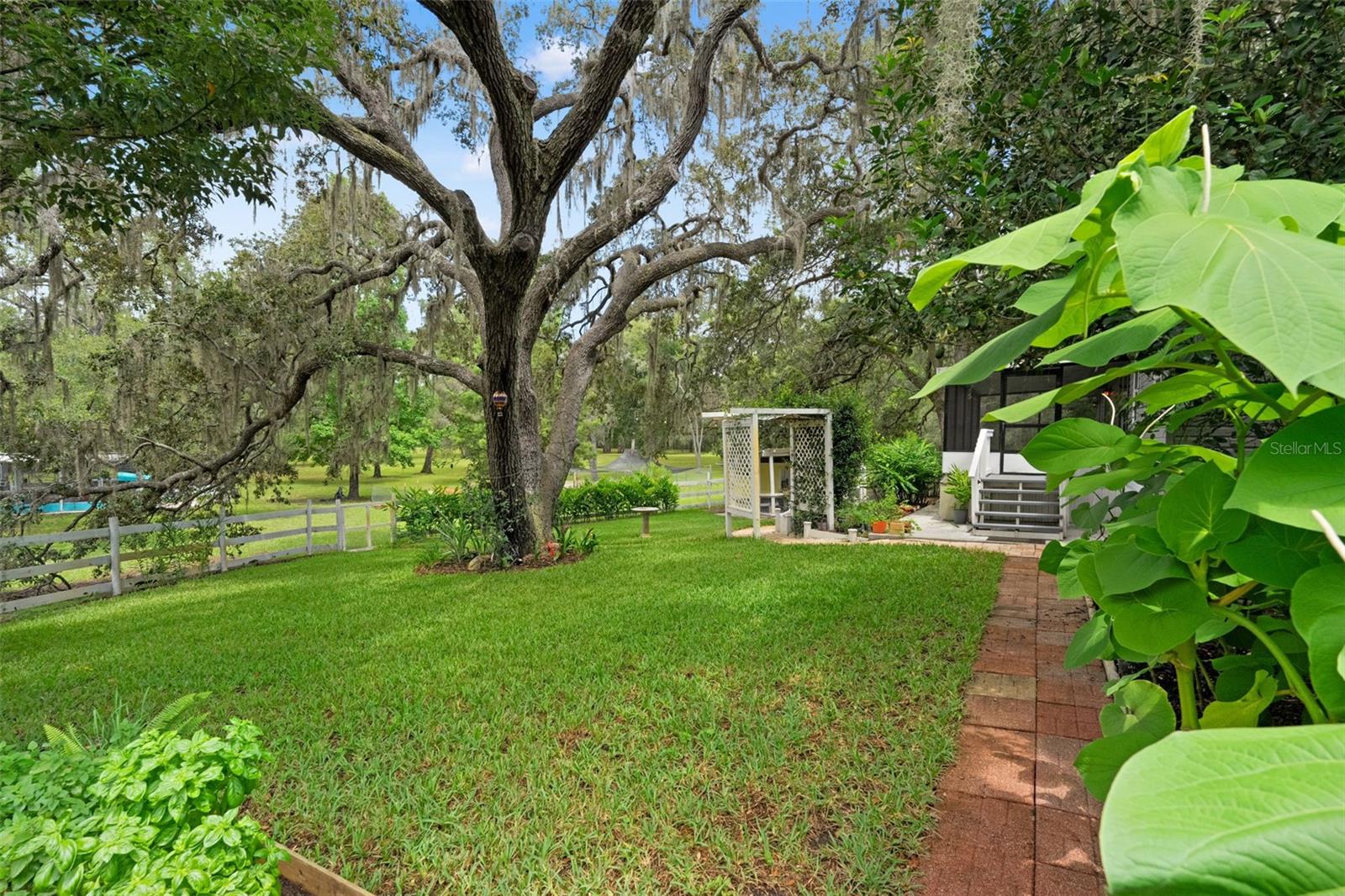 Listing photo id 29 for 785 Stockton Street