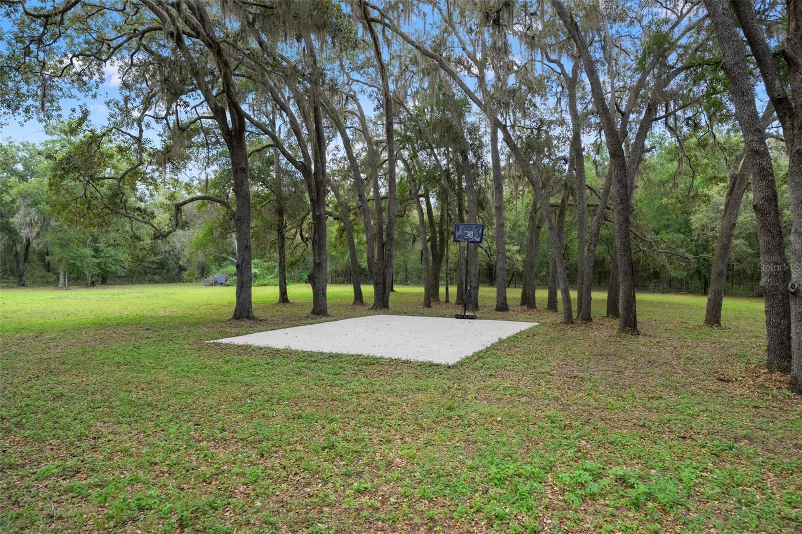 Listing photo id 47 for 785 Stockton Street
