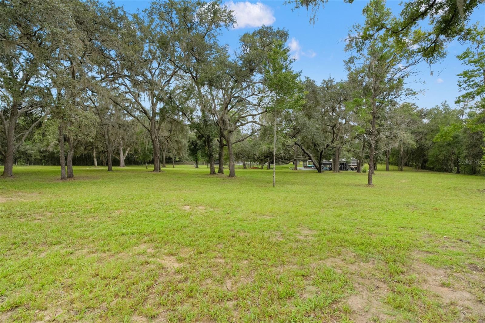 Listing photo id 49 for 785 Stockton Street