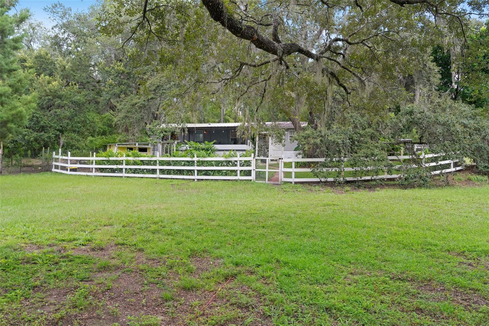 Listing photo id 50 for 785 Stockton Street