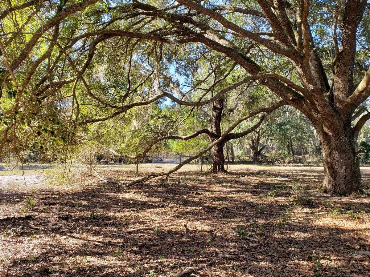Details for 13.12ac Hwy 315, FORT MC COY, FL 32134