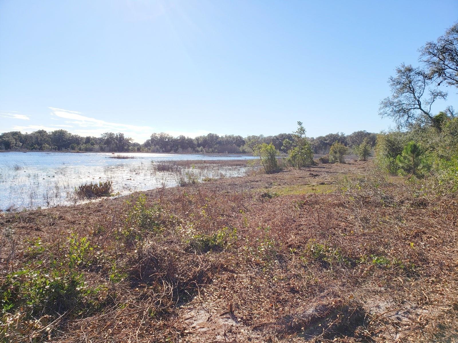 Image 11 of 12 For 13.12ac Hwy 315