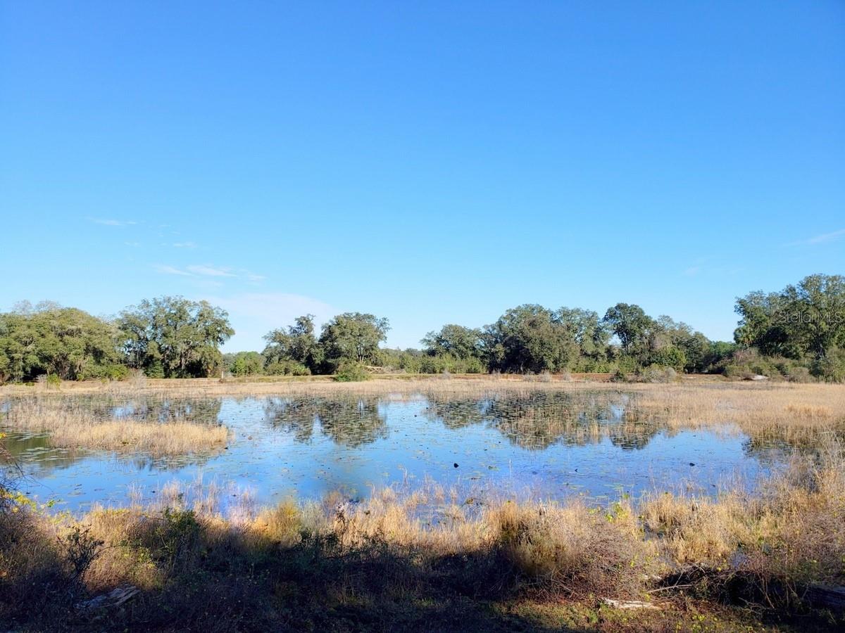 Image 3 of 12 For 13.12ac Hwy 315