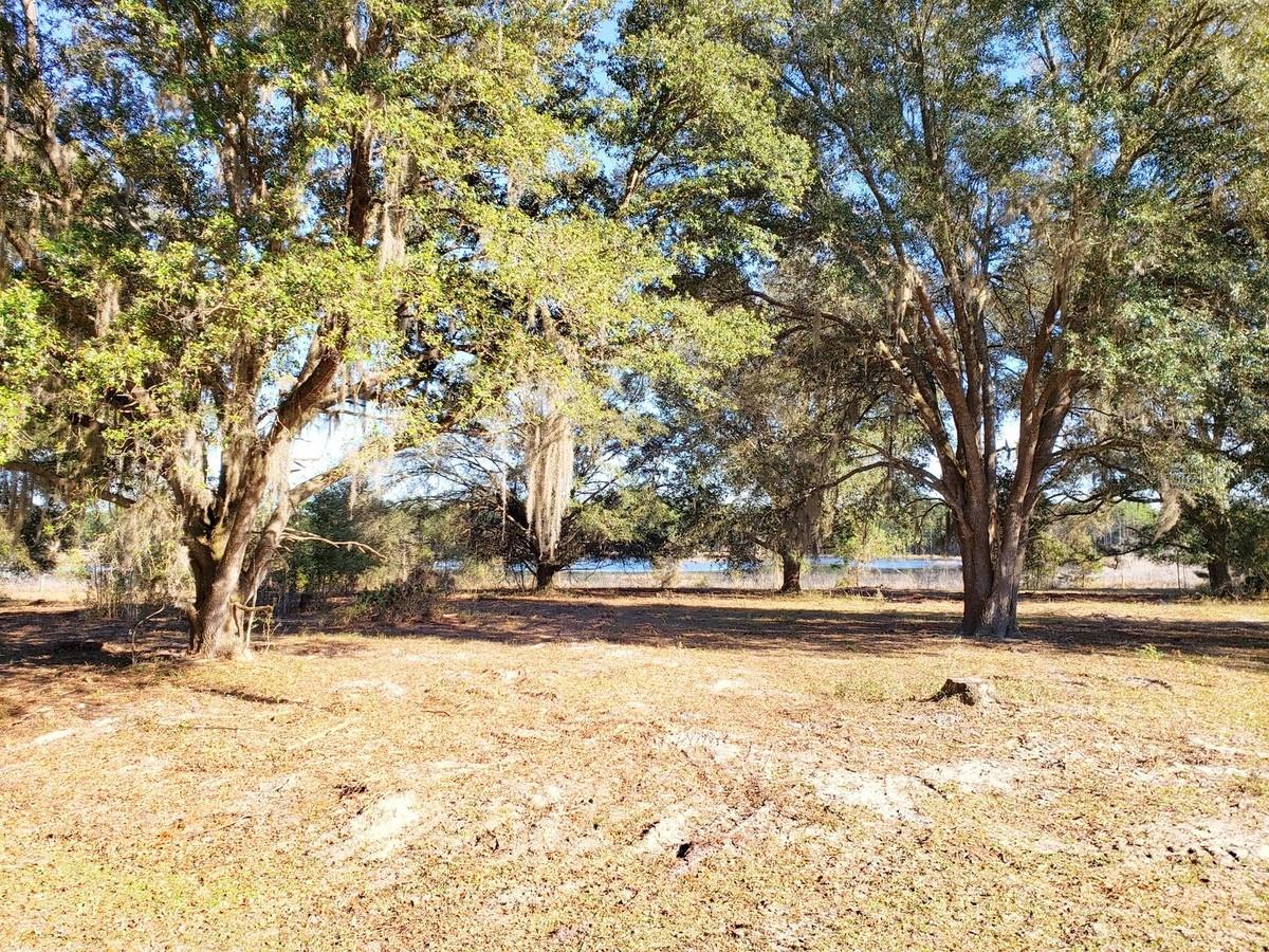 Image 4 of 12 For 13.12ac Hwy 315