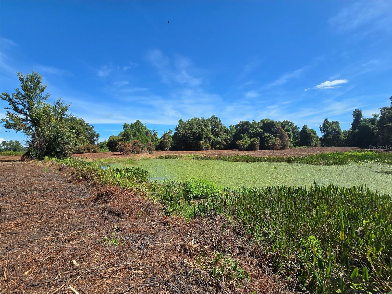 Image 41 of 53 For  Cr 736  