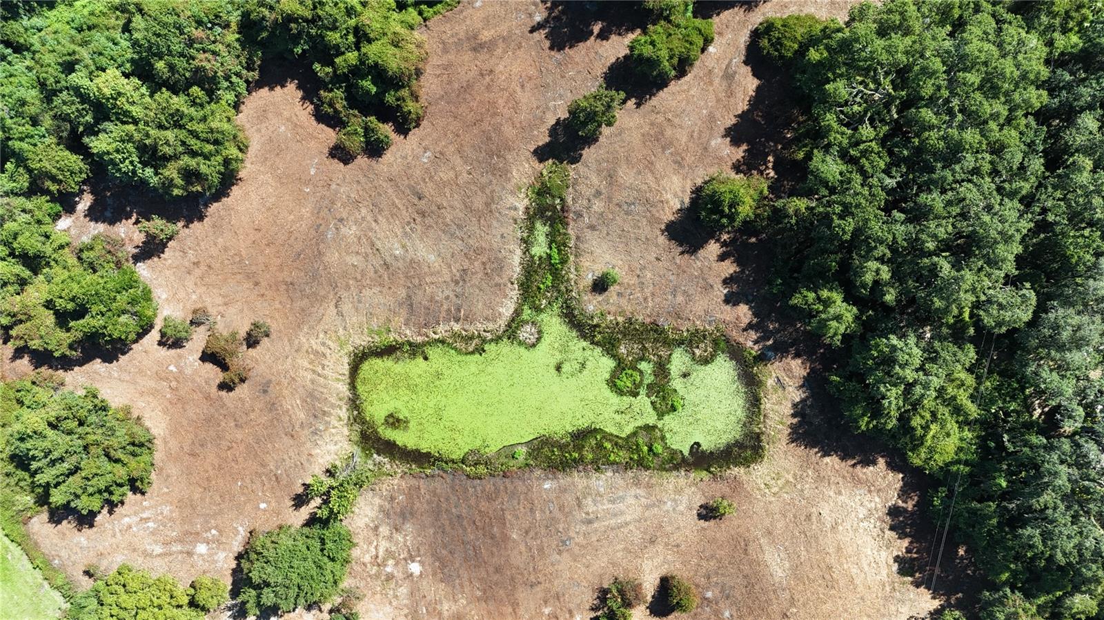 Image 42 of 53 For  Cr 736  