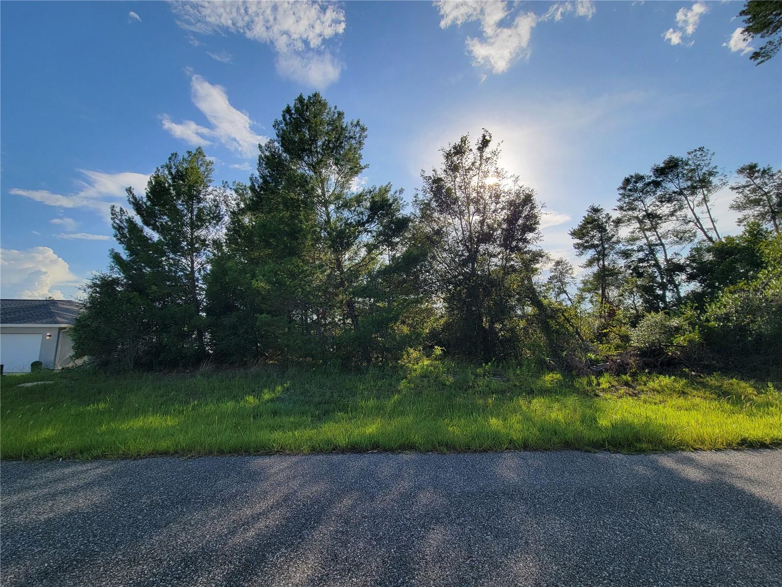Details for Tbd 158 Street Road, OCALA, FL 34473
