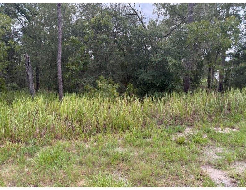 Details for Locust Ln , OCALA, FL 34472