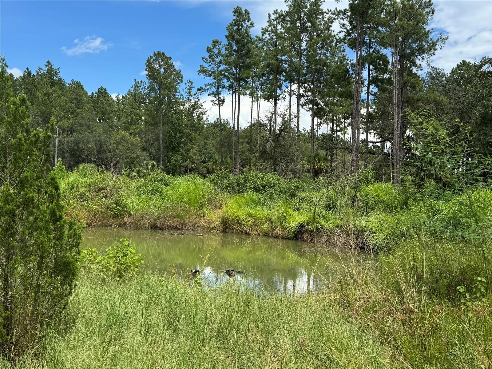 Image 10 of 28 For 9600 90th Street Road