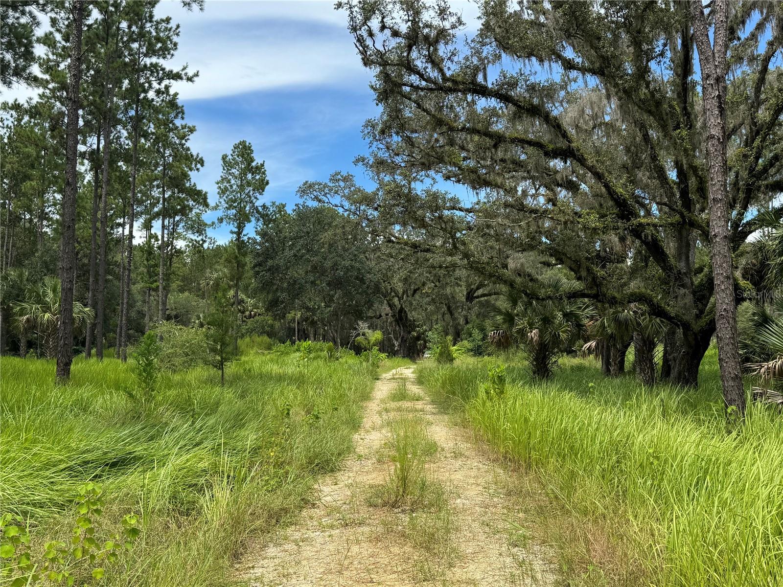 Image 11 of 28 For 9600 90th Street Road