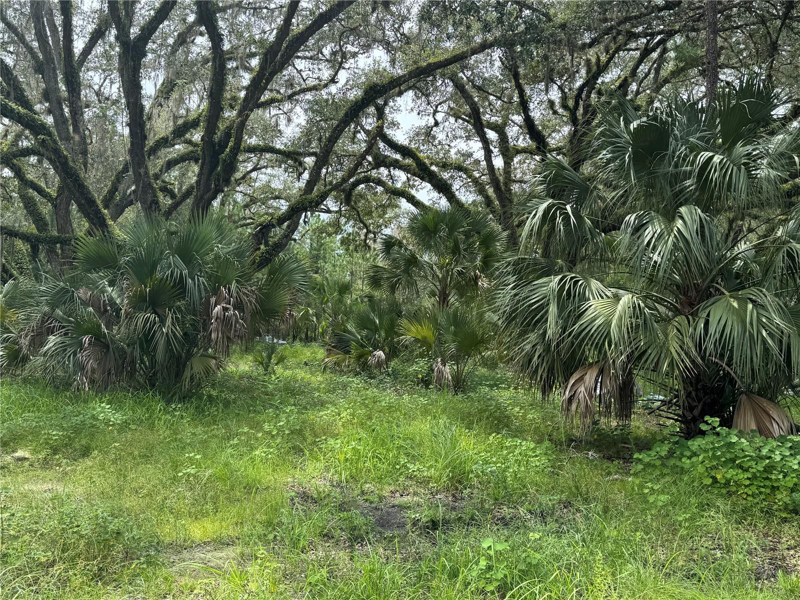 Image 13 of 28 For 9600 90th Street Road