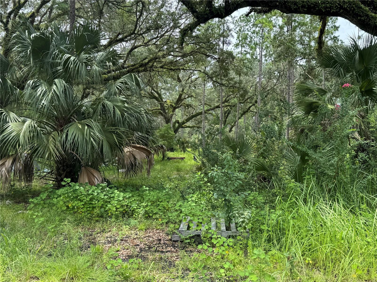 Image 14 of 28 For 9600 90th Street Road