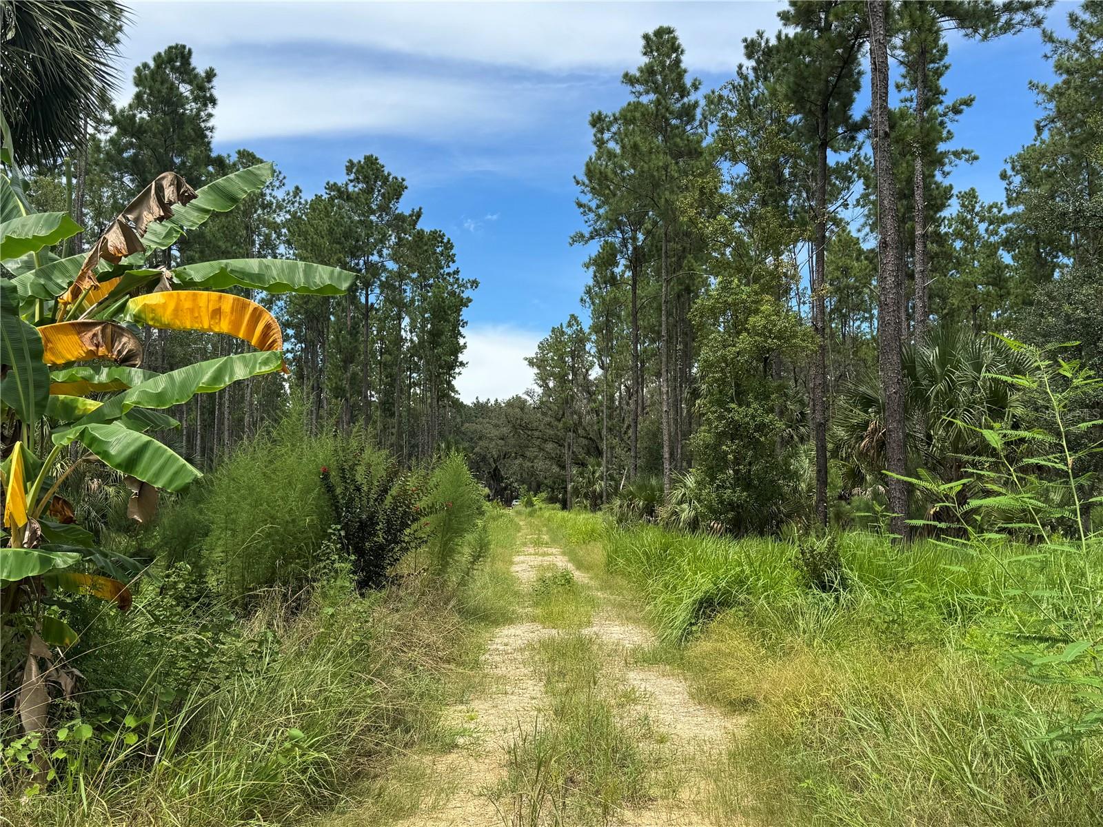 Image 15 of 28 For 9600 90th Street Road