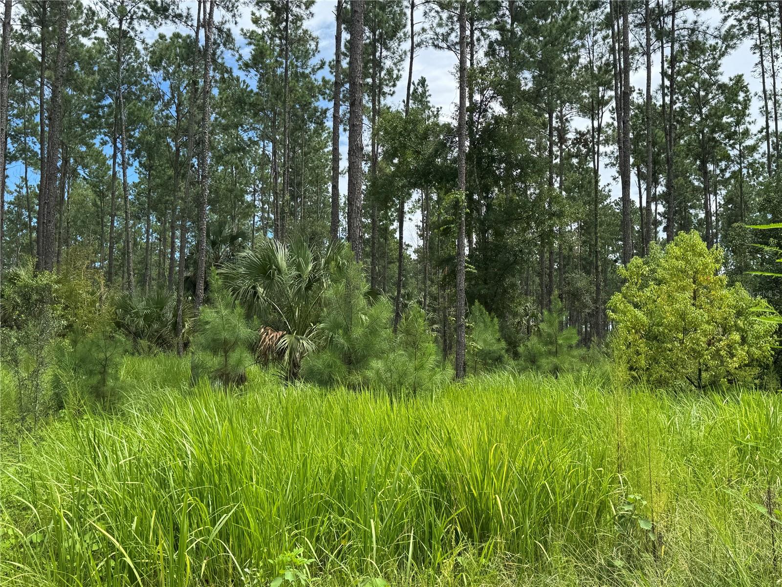 Image 17 of 28 For 9600 90th Street Road