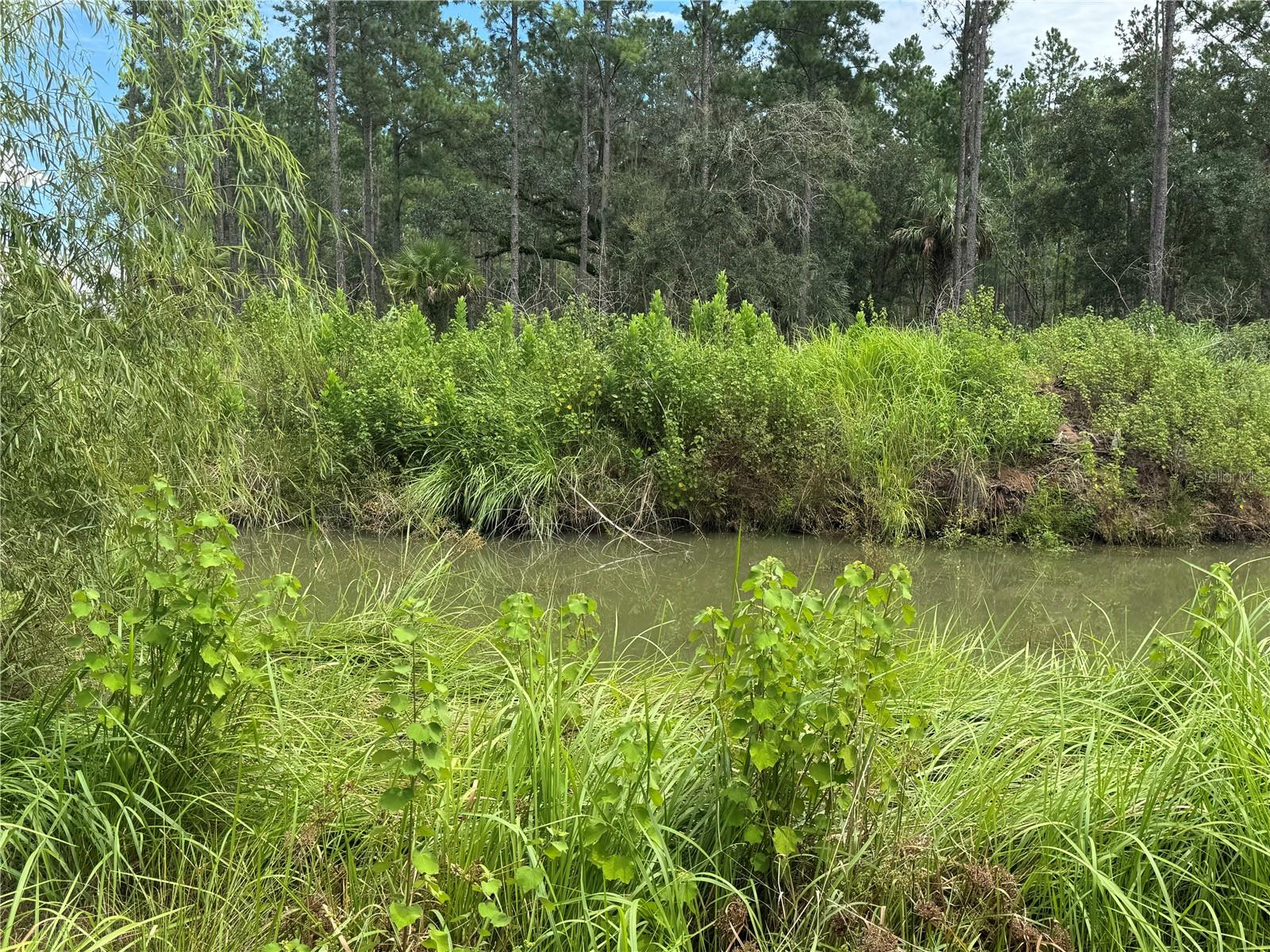 Image 19 of 28 For 9600 90th Street Road