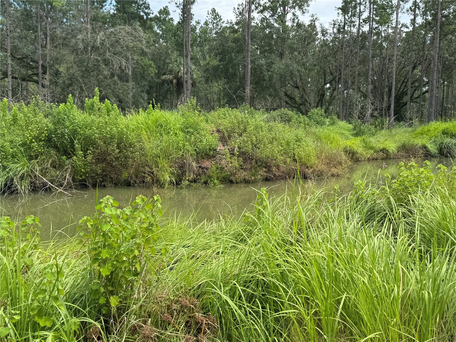 Image 20 of 28 For 9600 90th Street Road