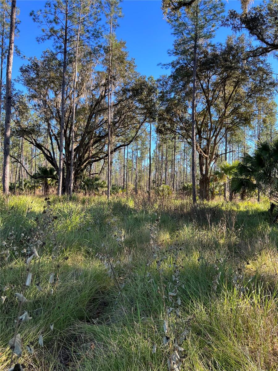 Image 22 of 28 For 9600 90th Street Road