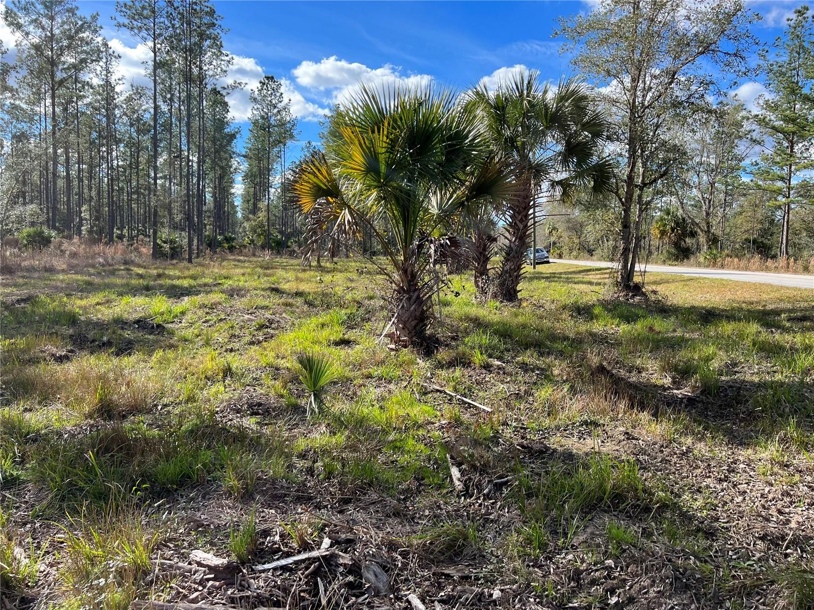 Image 23 of 28 For 9600 90th Street Road