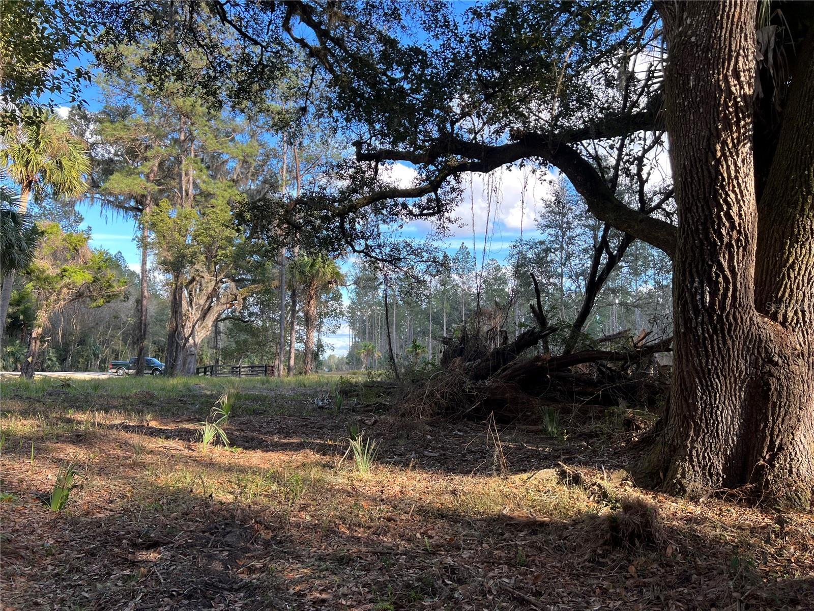 Image 24 of 28 For 9600 90th Street Road