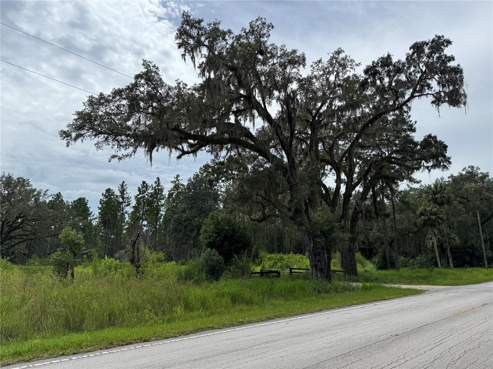 Image 4 of 28 For 9600 90th Street Road