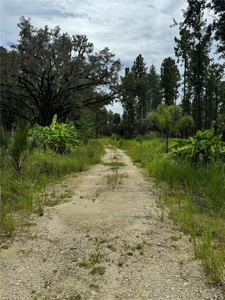 Image 9 of 28 For 9600 90th Street Road