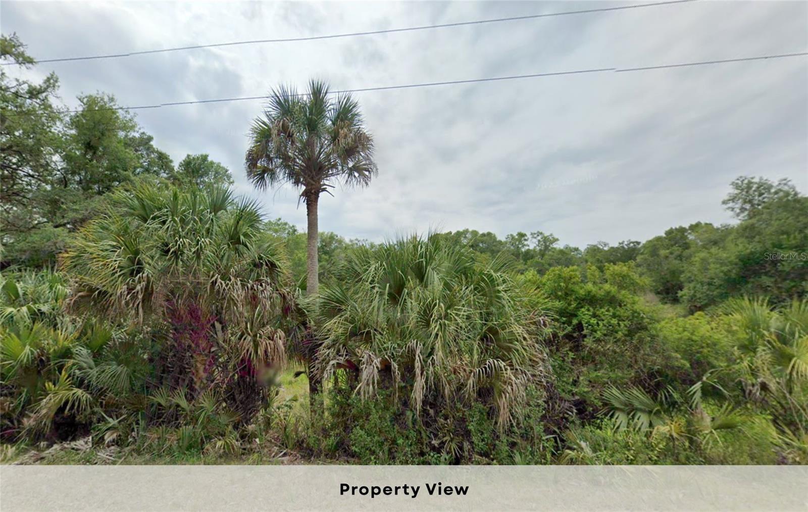 Image 8 of 10 For 7576 Bitteroot Drive