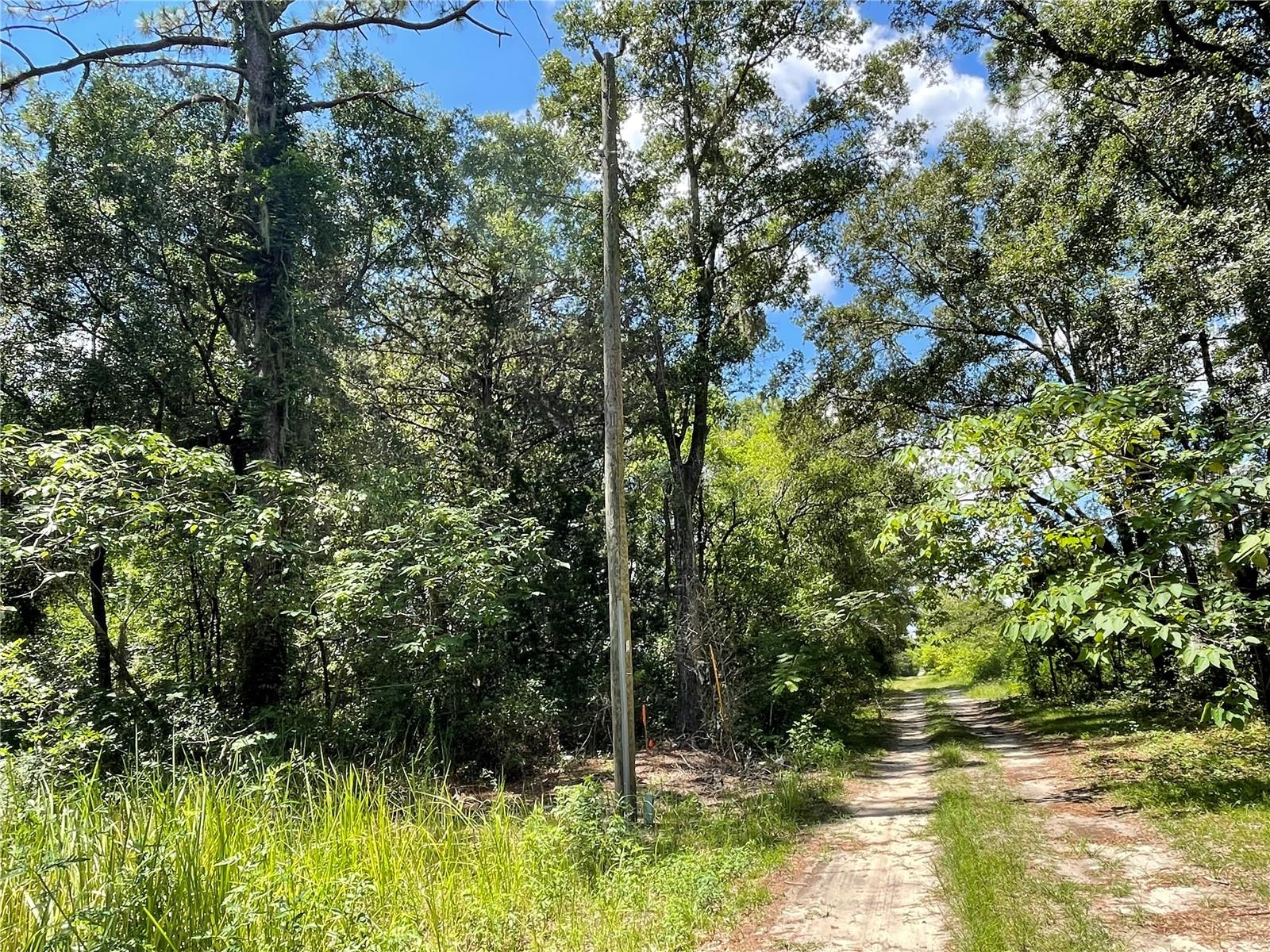 Image 2 of 10 For Lot 30 31st Place