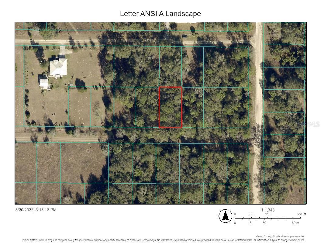 Image 7 of 10 For Lot 30 31st Place