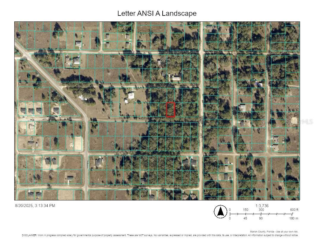 Image 9 of 10 For Lot 30 31st Place