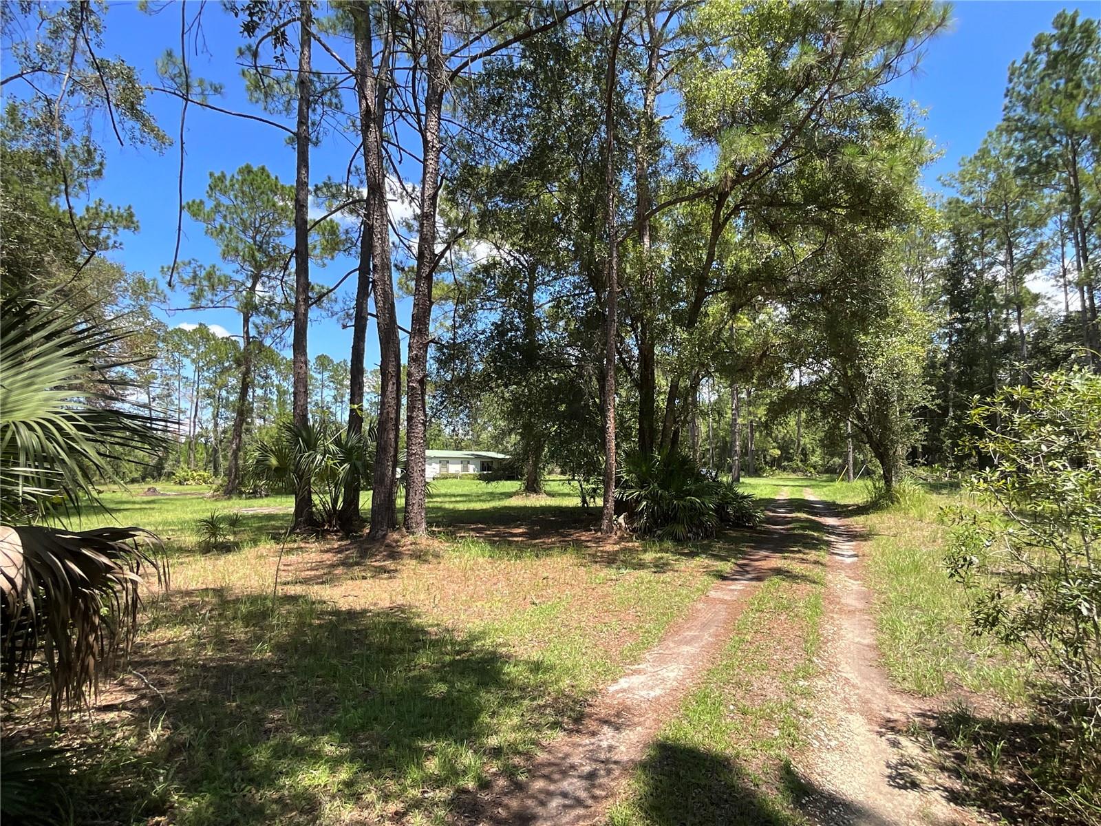 Image 7 of 29 For 12017 139th Place