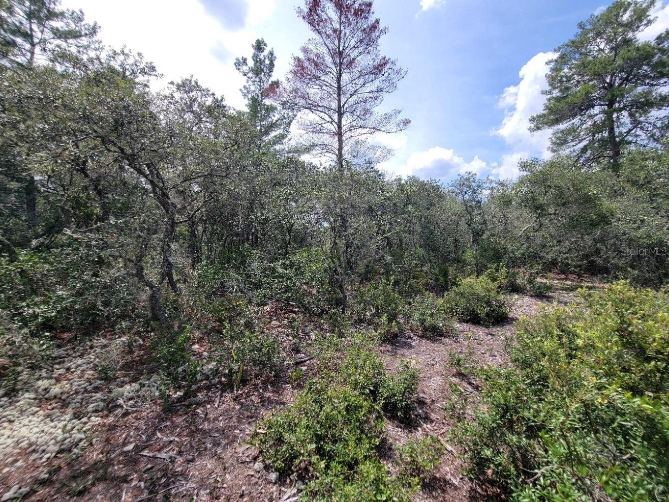 Image 10 of 13 For Corner Of Oak And Cypress Road