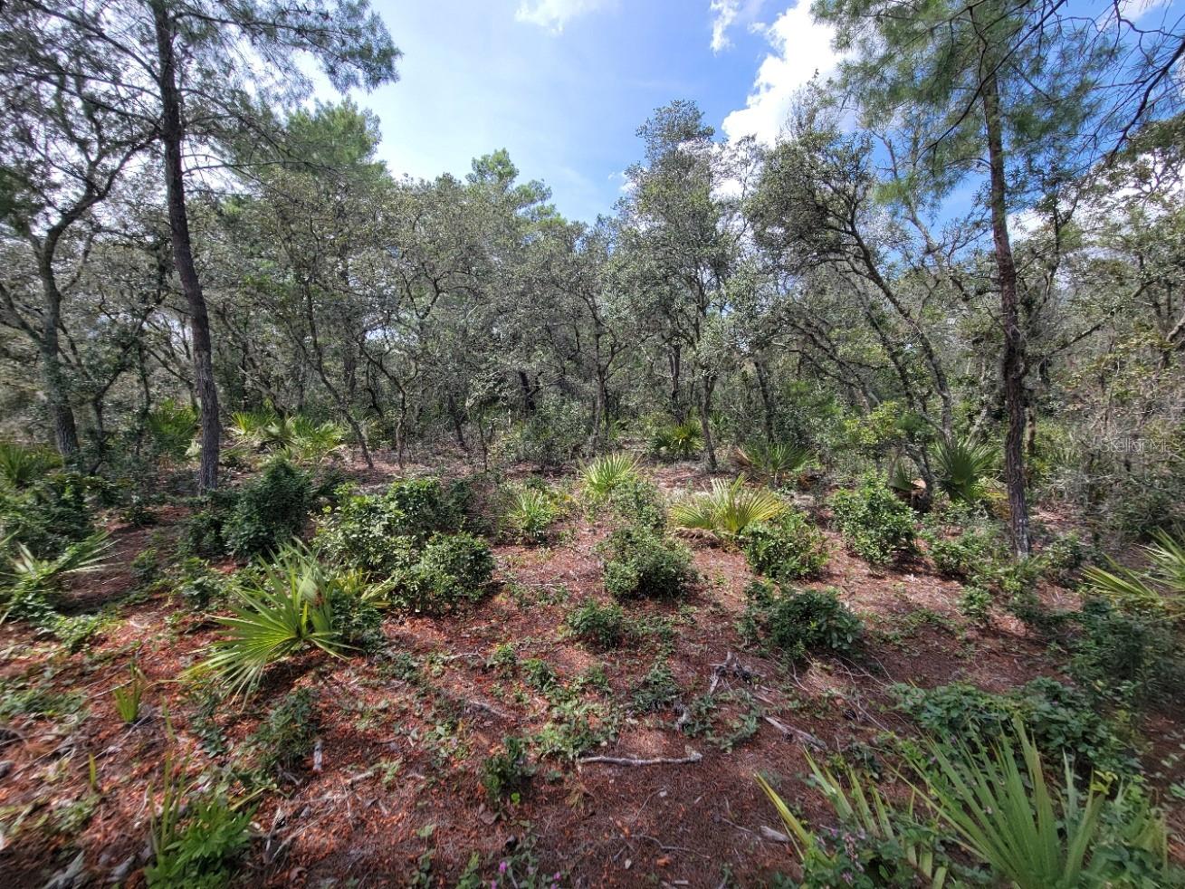 Image 12 of 13 For Corner Of Oak And Cypress Road