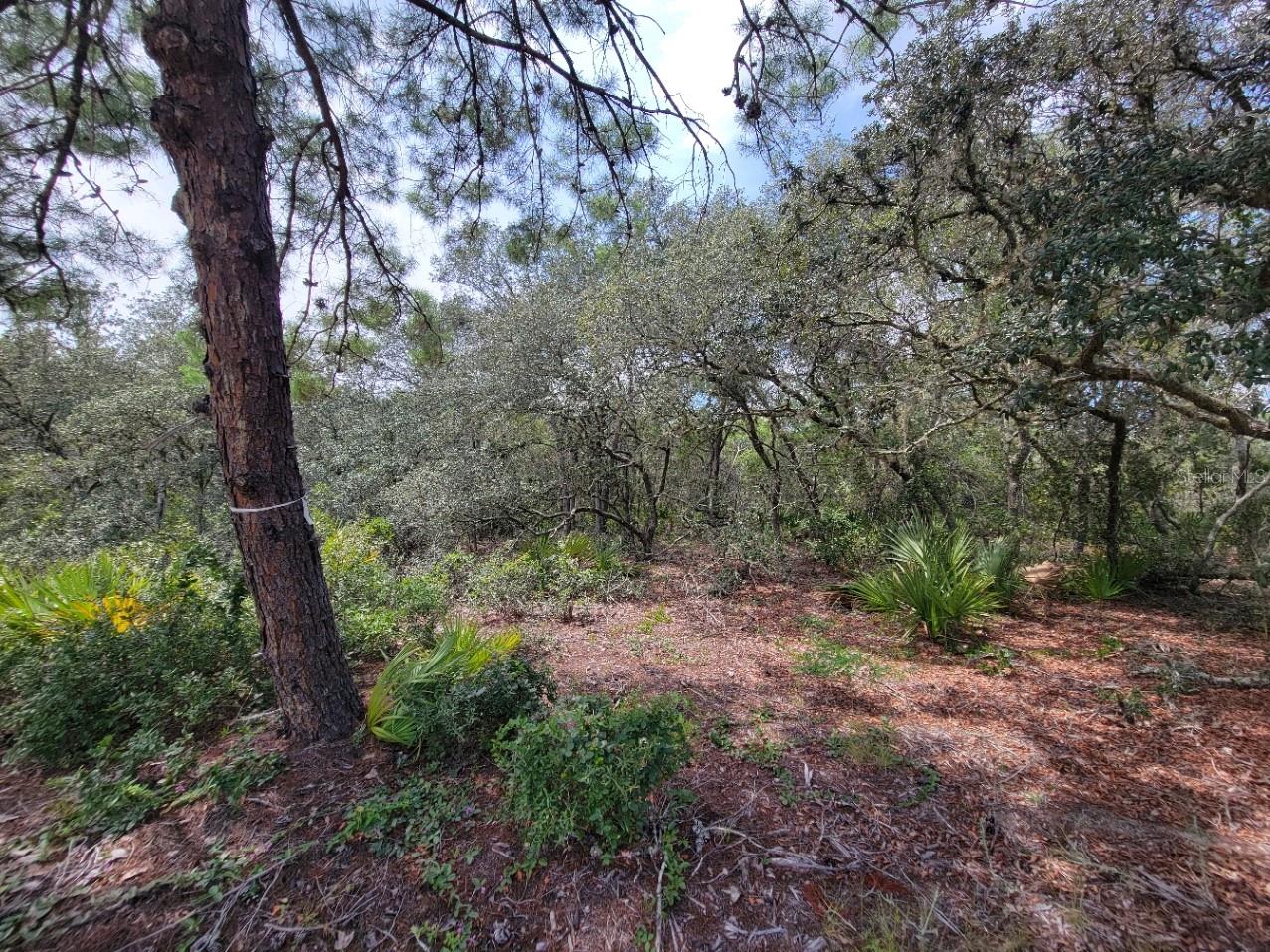 Image 13 of 13 For Corner Of Oak And Cypress Road