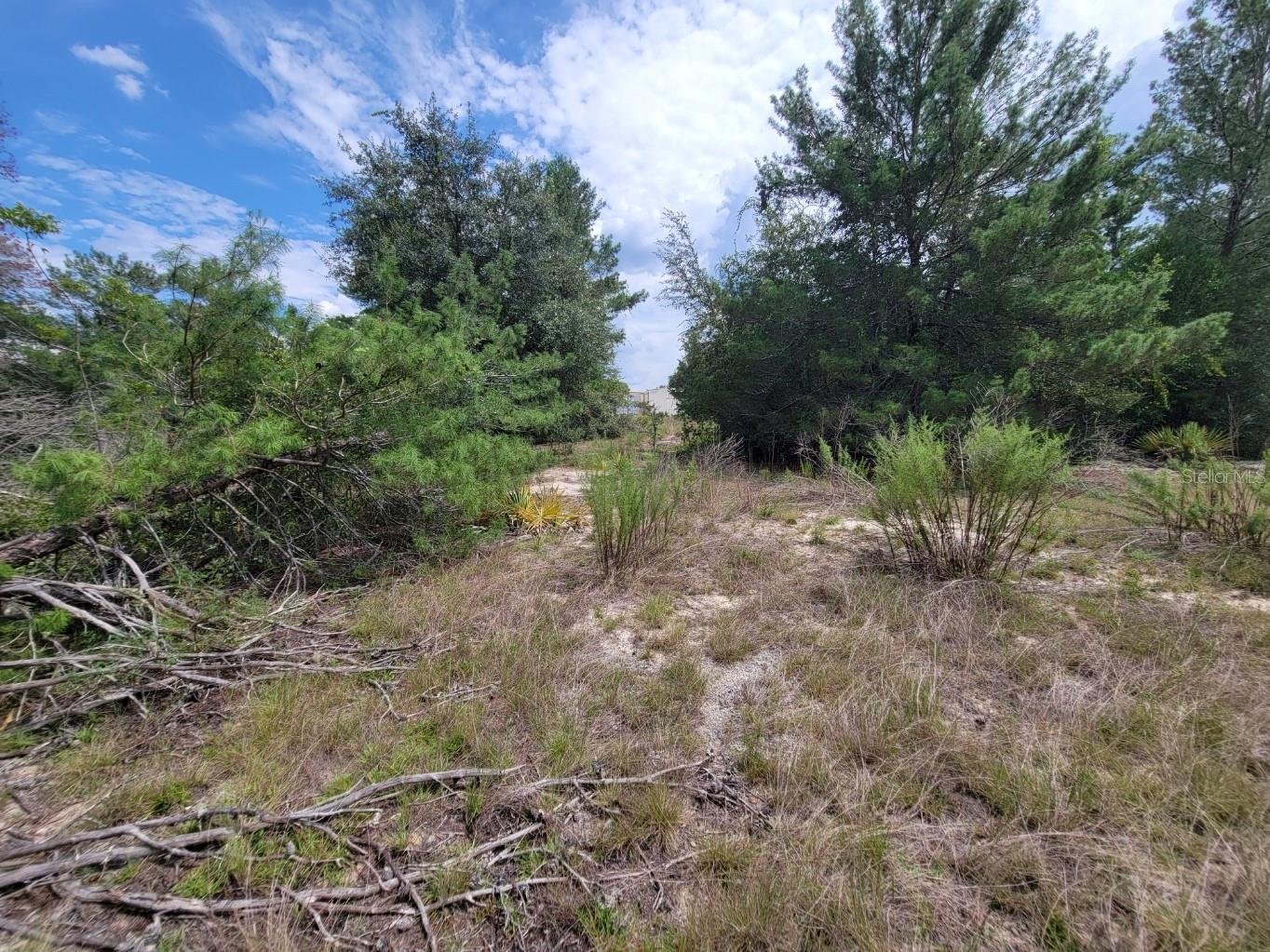 Image 3 of 13 For Corner Of Oak And Cypress Road