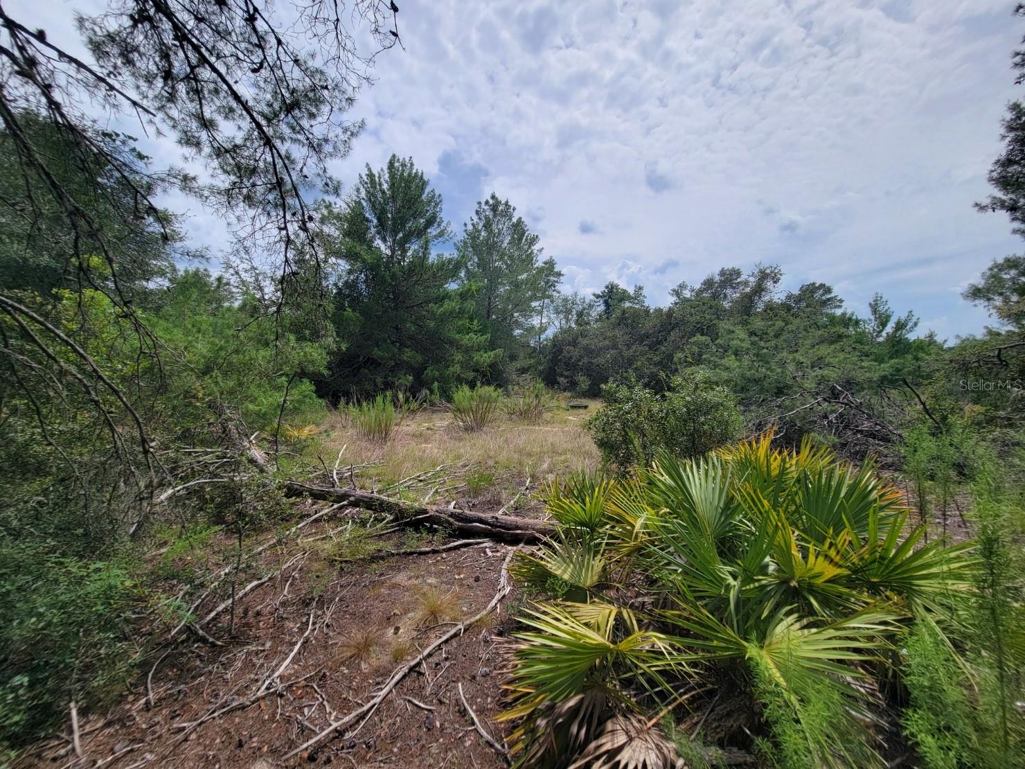 Image 4 of 13 For Corner Of Oak And Cypress Road