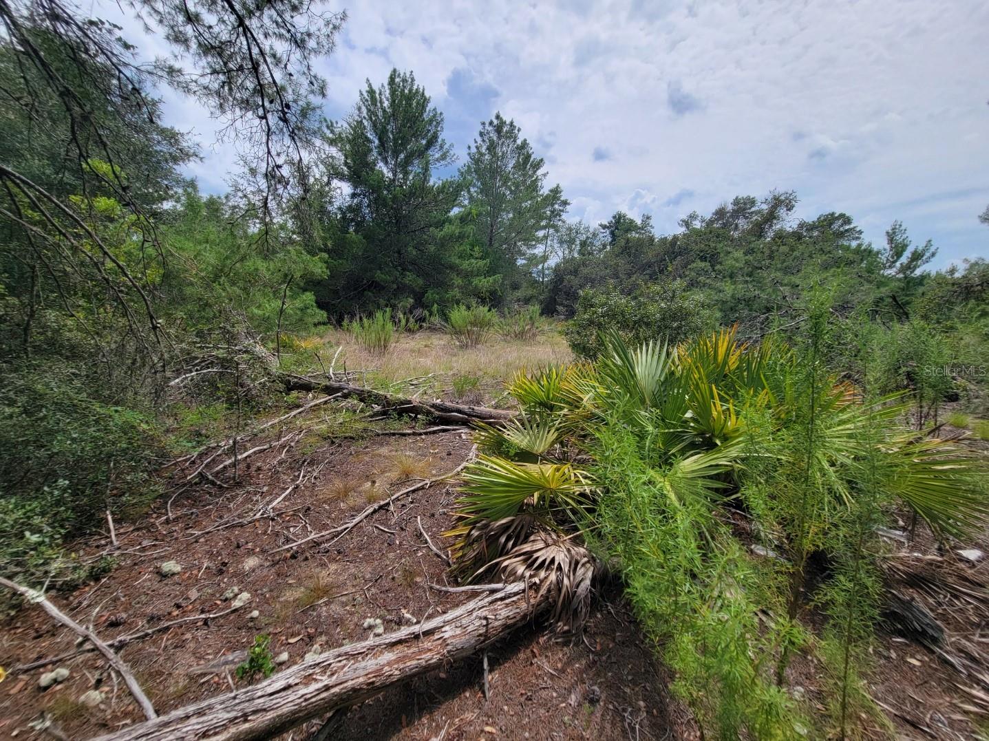 Image 5 of 13 For Corner Of Oak And Cypress Road