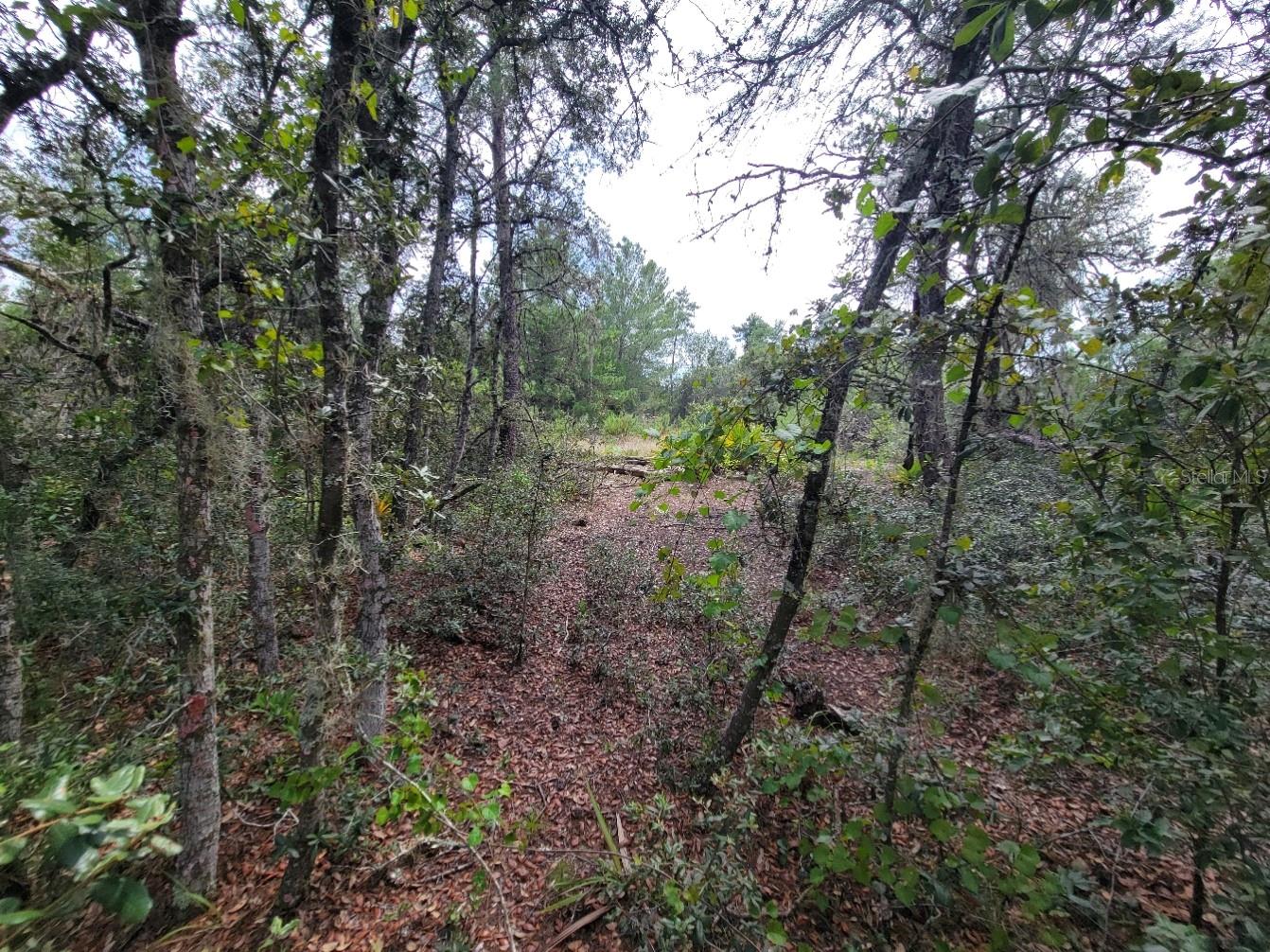 Image 6 of 13 For Corner Of Oak And Cypress Road