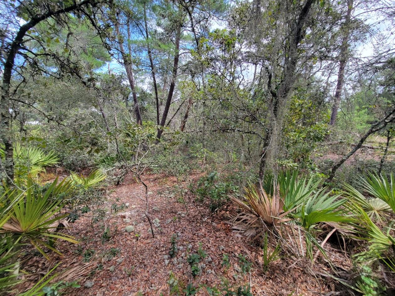 Image 7 of 13 For Corner Of Oak And Cypress Road