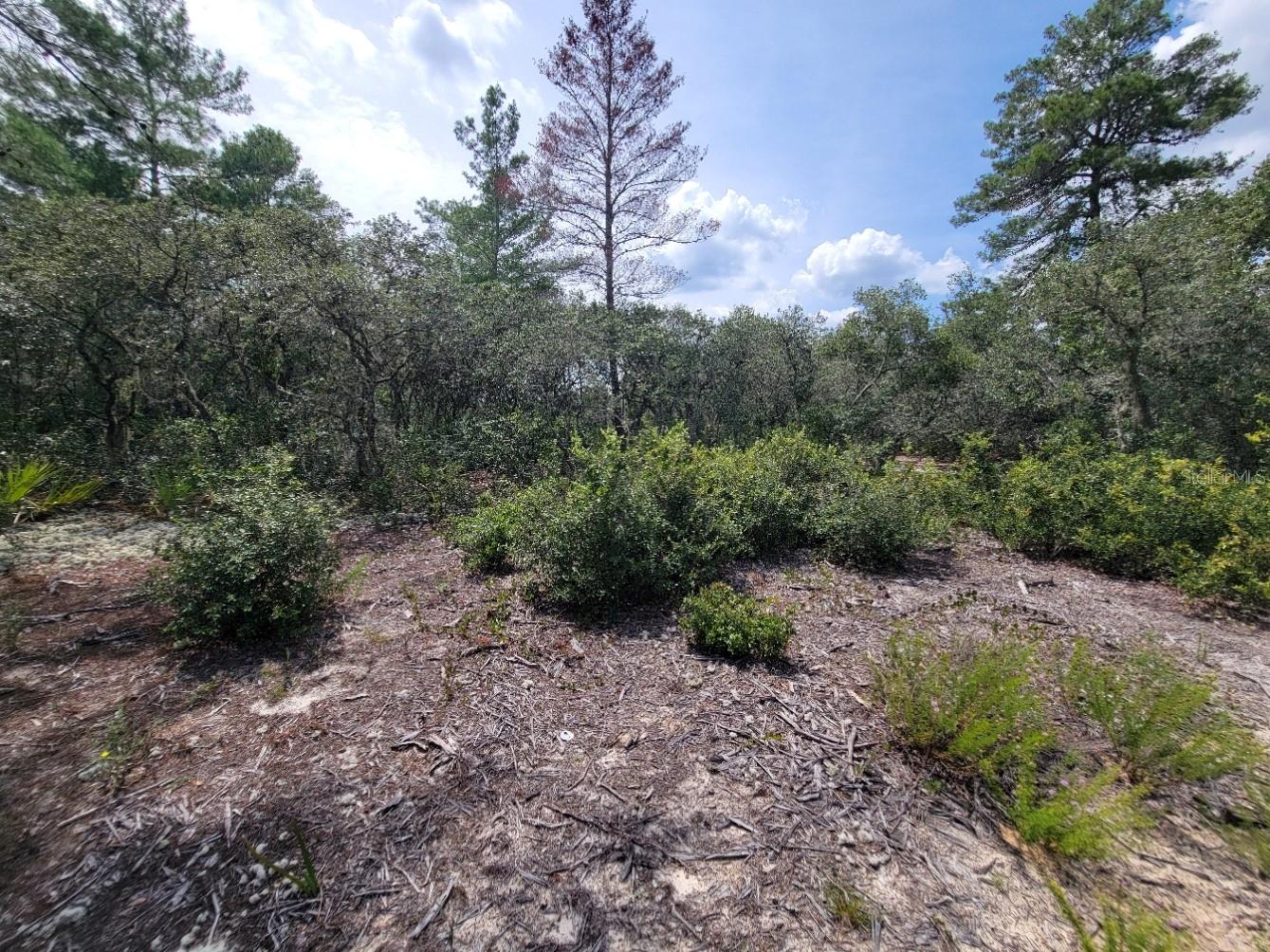 Image 9 of 13 For Corner Of Oak And Cypress Road