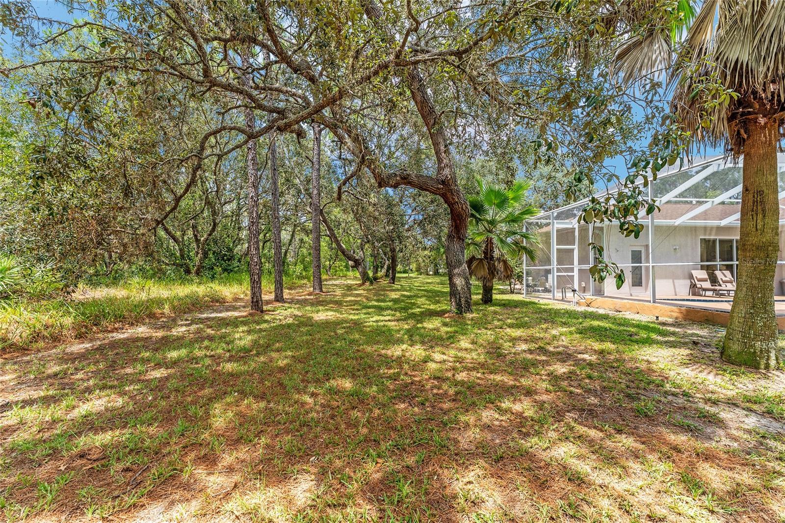 Image 75 of 97 For 147 Corkwood Boulevard