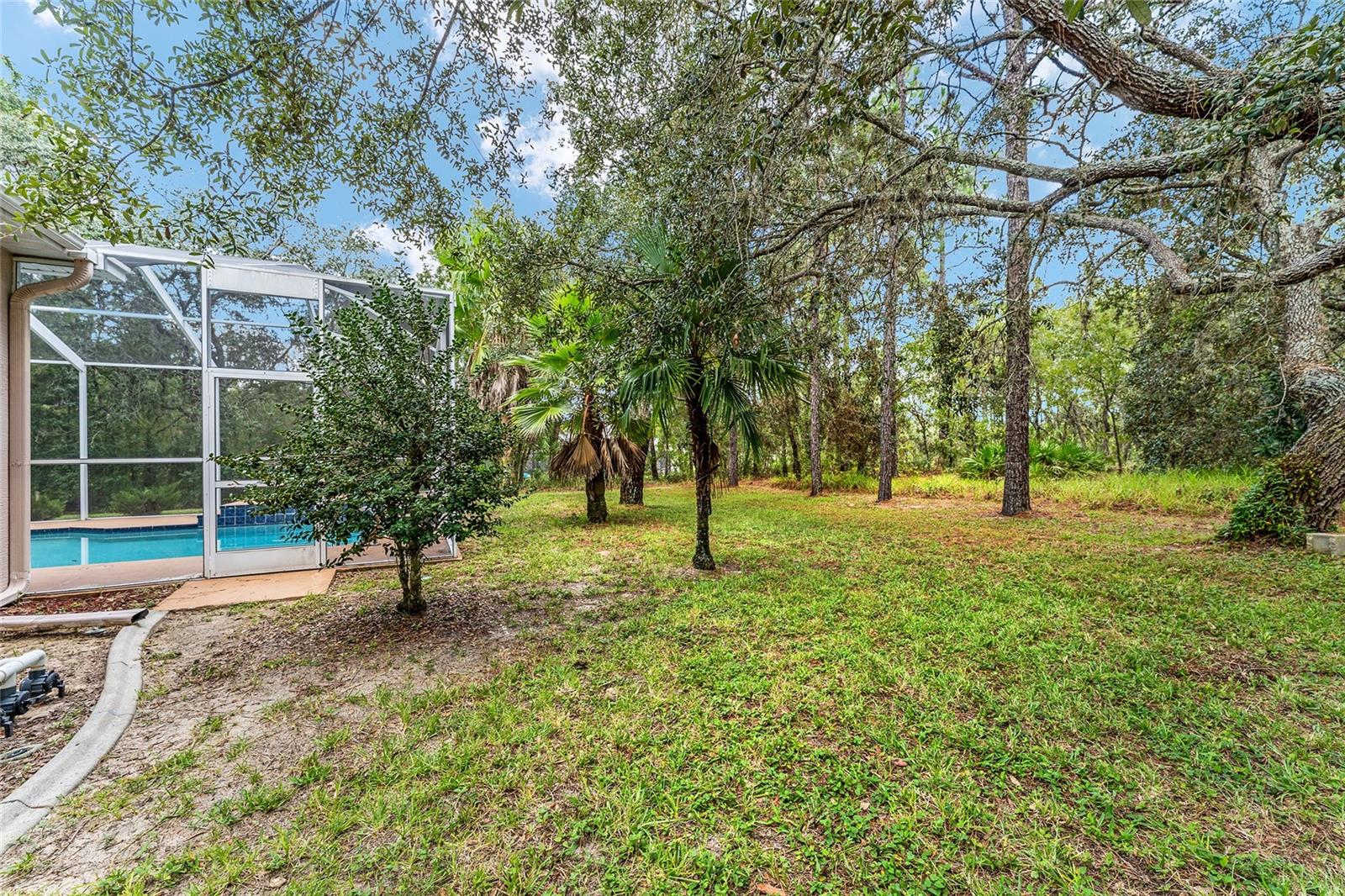 Image 76 of 97 For 147 Corkwood Boulevard
